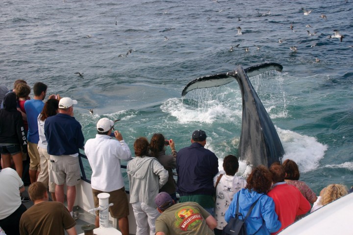 a group of people standing next to a body of water